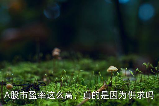 A股市盈率這么高，真的是因?yàn)楣┣髥? class=