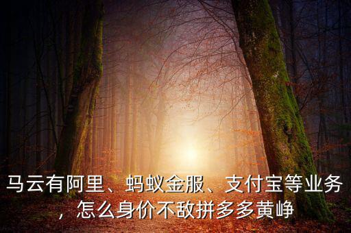 馬云有阿里、螞蟻金服、支付寶等業(yè)務，怎么身價不敵拼多多黃崢