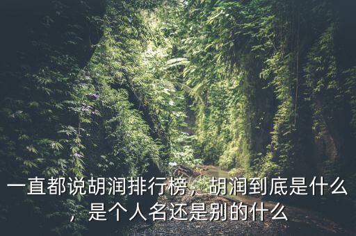 一直都說胡潤排行榜，胡潤到底是什么，是個(gè)人名還是別的什么