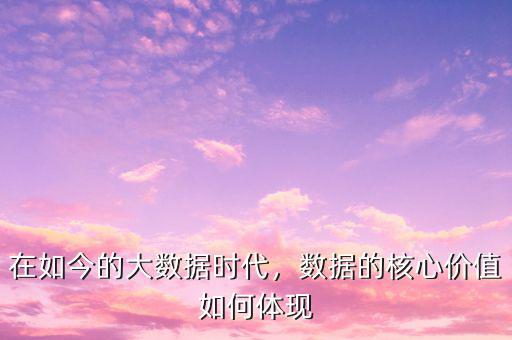 在如今的大數(shù)據(jù)時代，數(shù)據(jù)的核心價值如何體現(xiàn)