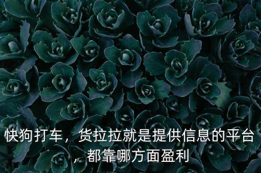 快狗打車，貨拉拉就是提供信息的平臺，都靠哪方面盈利
