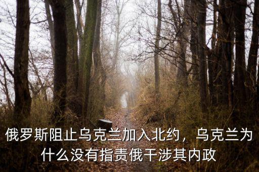 俄羅斯阻止烏克蘭加入北約，烏克蘭為什么沒有指責(zé)俄干涉其內(nèi)政