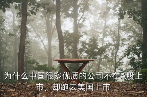 為什么中國很多優(yōu)質(zhì)的公司不在A股上市，卻跑去美國上市