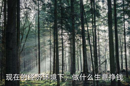 現(xiàn)在的經(jīng)濟(jì)環(huán)境下，做什么生意掙錢