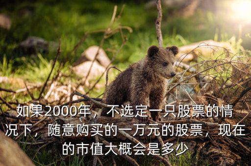 如果2000年，不選定一只股票的情況下，隨意購買的一萬元的股票，現(xiàn)在的市值大概會是多少