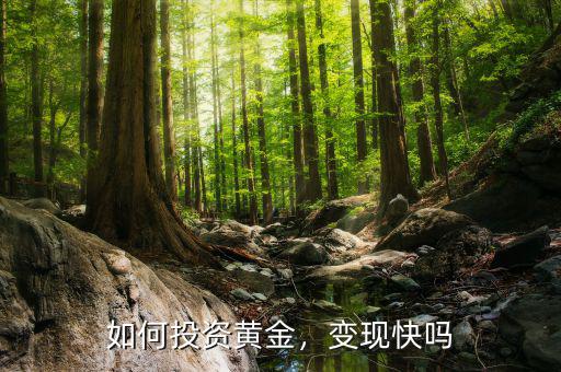 如何投資黃金，變現(xiàn)快嗎