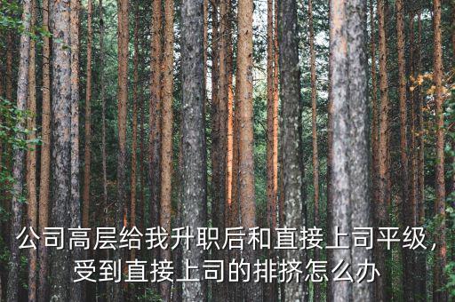 公司高層給我升職后和直接上司平級(jí)，受到直接上司的排擠怎么辦