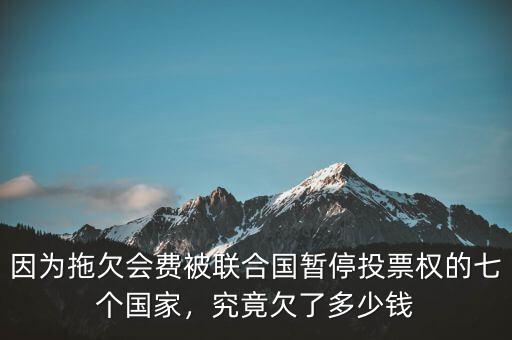 因?yàn)橥锨窌?huì)費(fèi)被聯(lián)合國(guó)暫停投票權(quán)的七個(gè)國(guó)家，究竟欠了多少錢