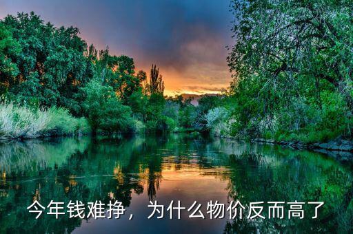 今年錢難掙，為什么物價反而高了