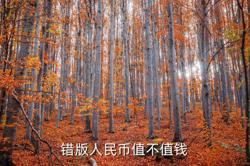 新版人民幣錯(cuò)版值多少錢(qián),袁大頭錯(cuò)版幣值多少錢(qián)一個(gè)