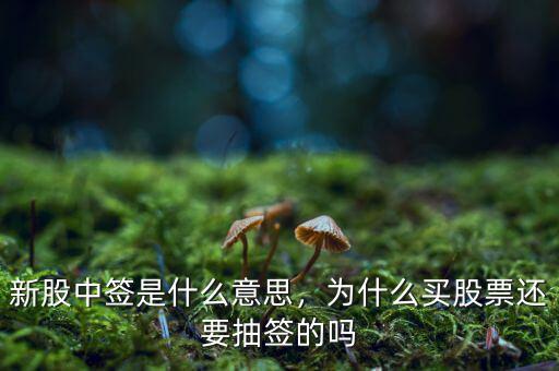 新股中簽是什么意思，為什么買股票還要抽簽的嗎