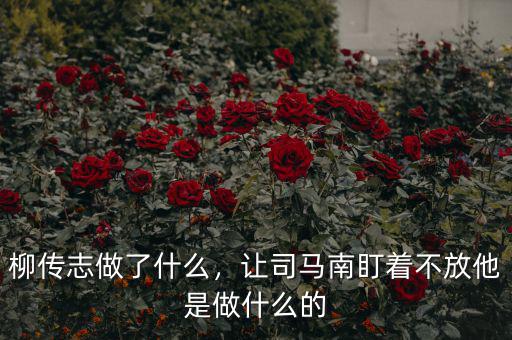 柳傳志做了什么，讓司馬南盯著不放他是做什么的