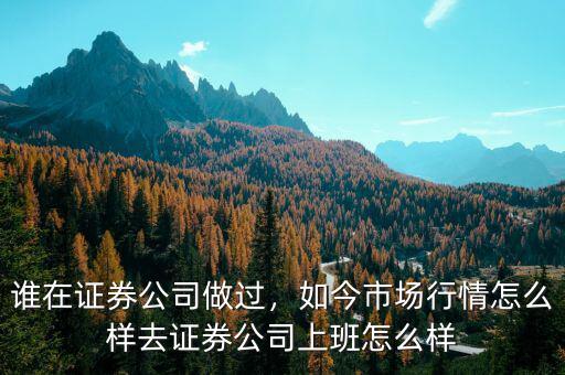 誰在證券公司做過，如今市場行情怎么樣去證券公司上班怎么樣