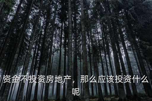 資金不投資房地產(chǎn)，那么應(yīng)該投資什么呢