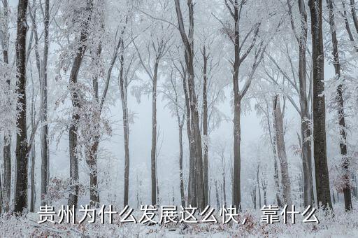 貴州為什么發(fā)展這么快，靠什么
