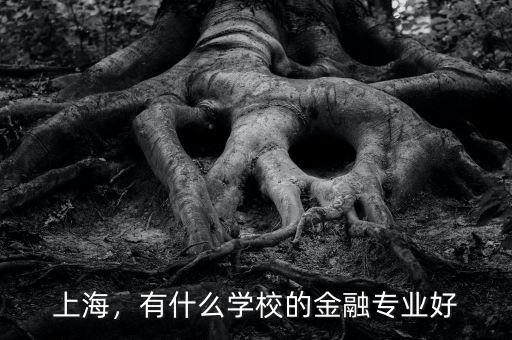 上海，有什么學(xué)校的金融專業(yè)好