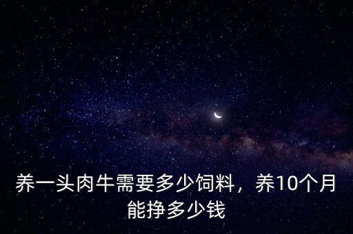 養(yǎng)一頭肉牛需要多少飼料，養(yǎng)10個(gè)月能掙多少錢