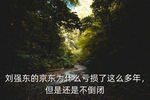 劉強(qiáng)東的京東為什么虧損了這么多年，但是還是不倒閉
