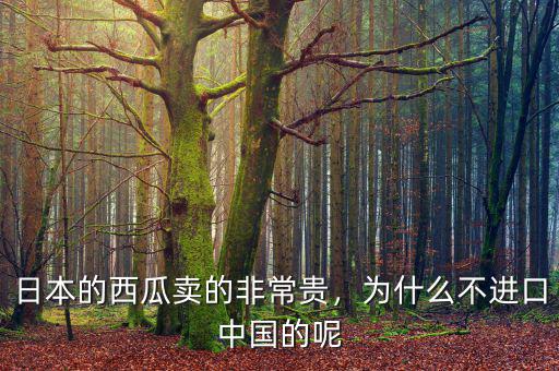 日本的西瓜賣的非常貴，為什么不進口中國的呢