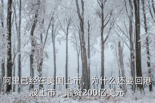 阿里已經(jīng)在美國上市，為什么還要回港股上市，融資200億美元