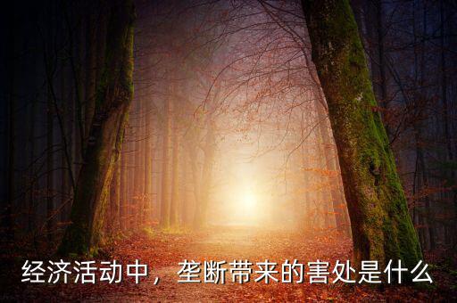 經(jīng)濟活動中，壟斷帶來的害處是什么