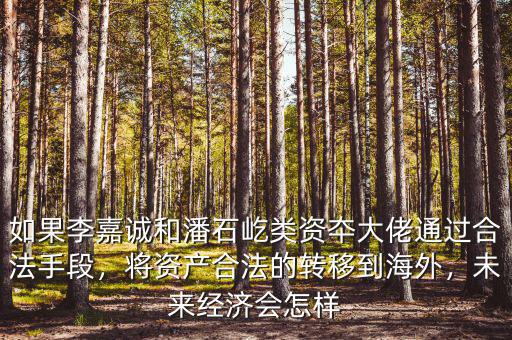 如果李嘉誠和潘石屹類資夲大佬通過合法手段，將資產(chǎn)合法的轉(zhuǎn)移到海外，未來經(jīng)濟會怎樣