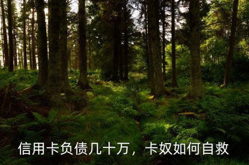 信用卡負(fù)債幾十萬，卡奴如何自救