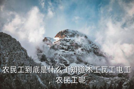 農(nóng)民工到底是什么工知道木工瓦工電工，農(nóng)民工呢