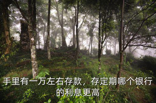 手里有一萬左右存款，存定期哪個銀行的利息更高