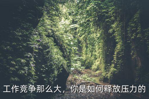工作競(jìng)爭(zhēng)那么大，你是如何釋放壓力的