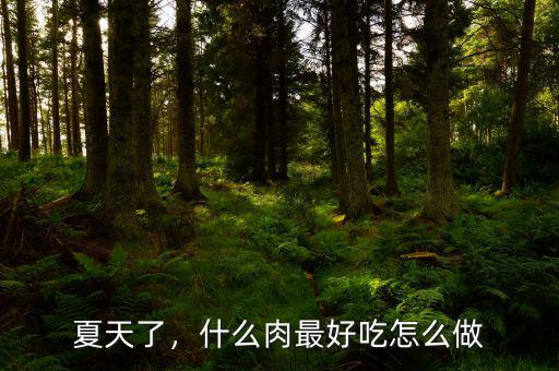 夏天了，什么肉最好吃怎么做