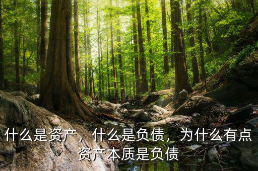 什么是資產(chǎn)，什么是負(fù)債，為什么有點(diǎn)資產(chǎn)本質(zhì)是負(fù)債