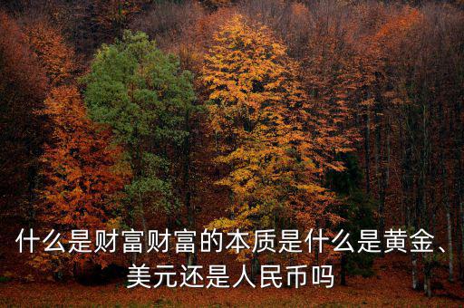 什么是財(cái)富財(cái)富的本質(zhì)是什么是黃金、美元還是人民幣嗎