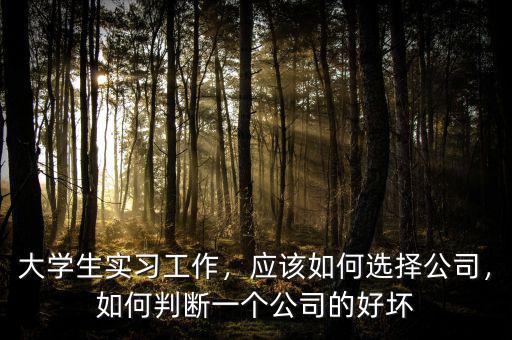 大學(xué)生實習(xí)工作，應(yīng)該如何選擇公司，如何判斷一個公司的好壞