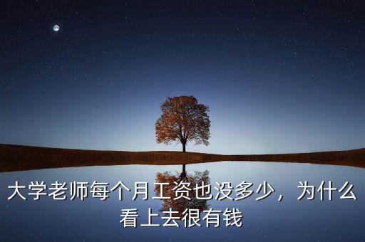 大學(xué)老師每個月工資也沒多少，為什么看上去很有錢