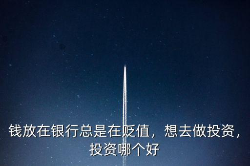 錢放在銀行總是在貶值，想去做投資，投資哪個好