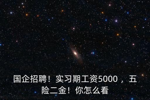 國企招聘！實(shí)習(xí)期工資5000 ，五險(xiǎn)二金！你怎么看