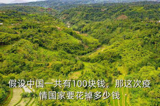 假設(shè)中國一共有100塊錢，那這次疫情國家要花掉多少錢