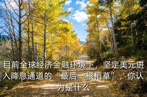 目前全球經(jīng)濟金融環(huán)境下，堅定美元進入降息通道的“最后一根稻草”，你認為是什么