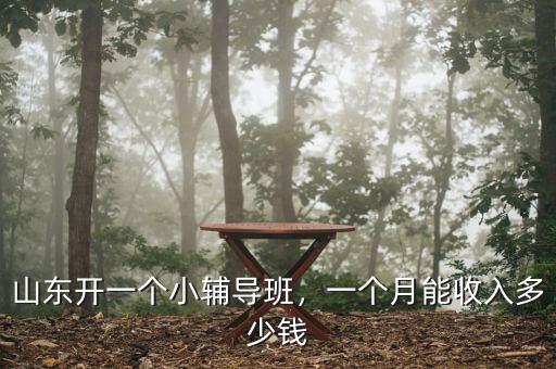 山東開一個小輔導(dǎo)班，一個月能收入多少錢