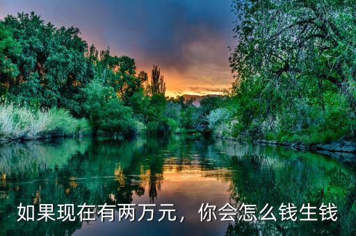 如果現(xiàn)在有兩萬元，你會(huì)怎么錢生錢