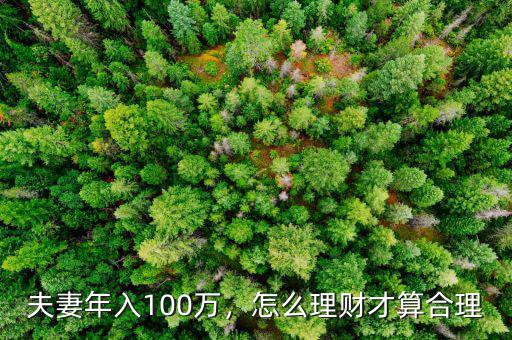 夫妻年入100萬，怎么理財才算合理