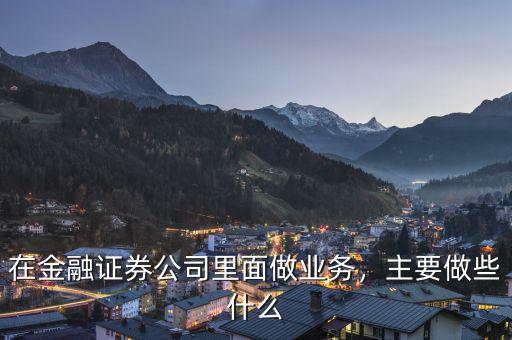 在金融證券公司里面做業(yè)務(wù)，主要做些什么