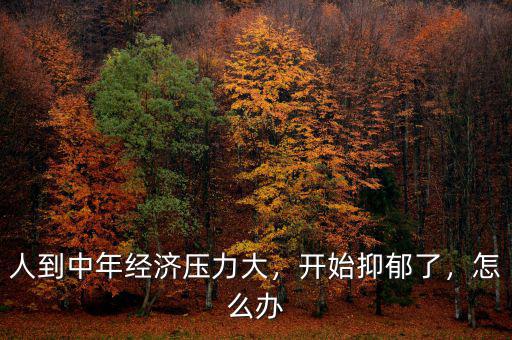 人到中年經(jīng)濟(jì)壓力大，開始抑郁了，怎么辦