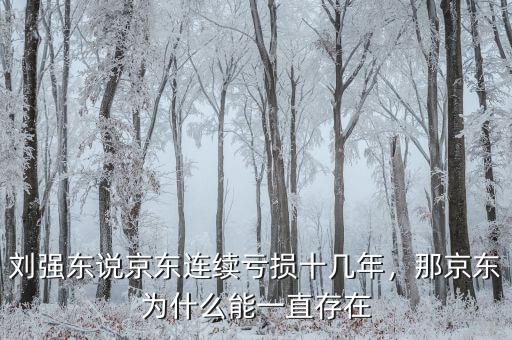 劉強(qiáng)東說京東連續(xù)虧損十幾年，那京東為什么能一直存在