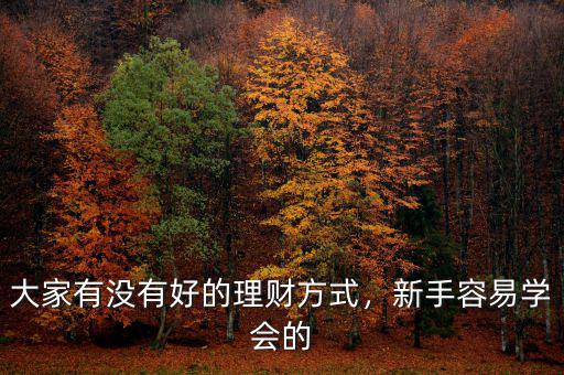 大家有沒有好的理財(cái)方式，新手容易學(xué)會的