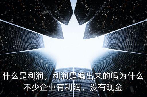 什么是利潤(rùn)，利潤(rùn)是編出來(lái)的嗎為什么不少企業(yè)有利潤(rùn)，沒(méi)有現(xiàn)金