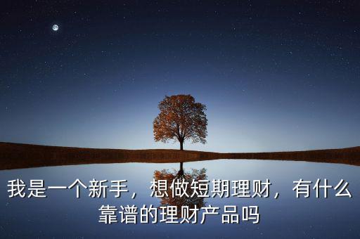 我是一個(gè)新手，想做短期理財(cái)，有什么靠譜的理財(cái)產(chǎn)品嗎