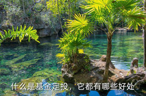 什么是基金定投，它都有哪些好處
