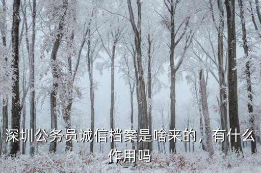 深圳公務(wù)員誠(chéng)信檔案是啥來的，有什么作用嗎